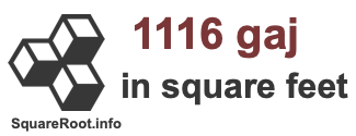 1116 Gaj in Square Feet 1116 Gaj in Square Feet