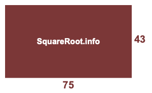 43x75 Room illustration